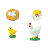 Life Cycle of a Chicken - Safari Ltd®