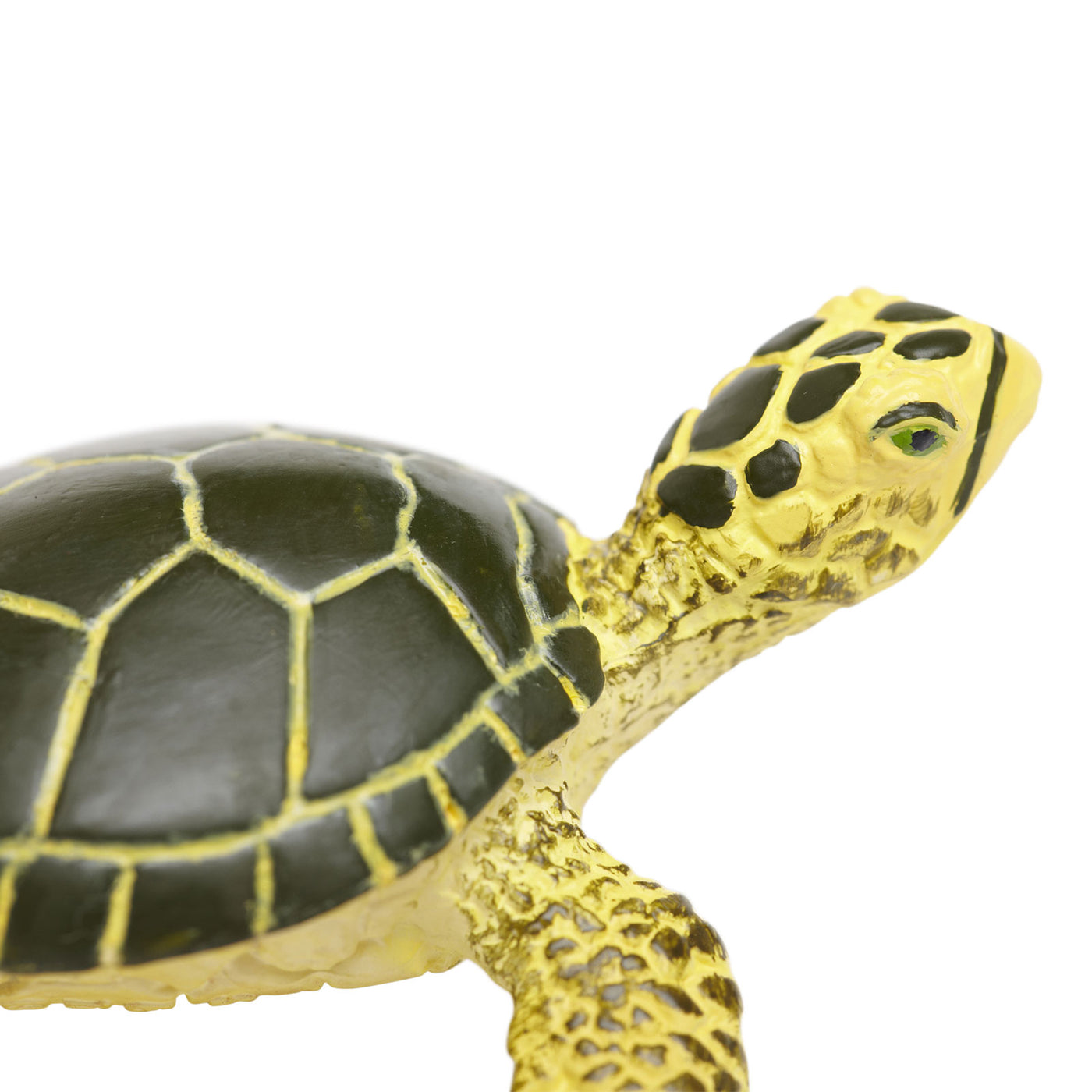 Green Sea Turtle Baby Toy