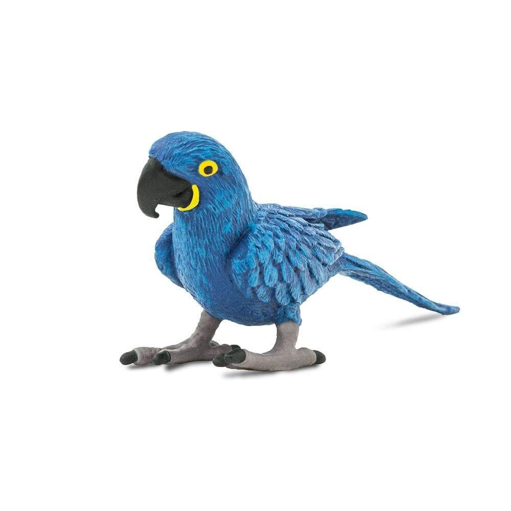 Blue macaw toy best sale