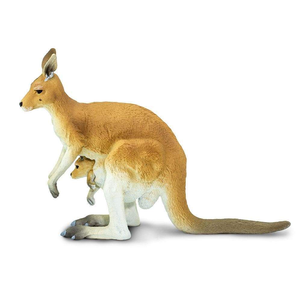 Kangaroo with Joey Toy | Wildlife Animal Toys | Safari Ltd.