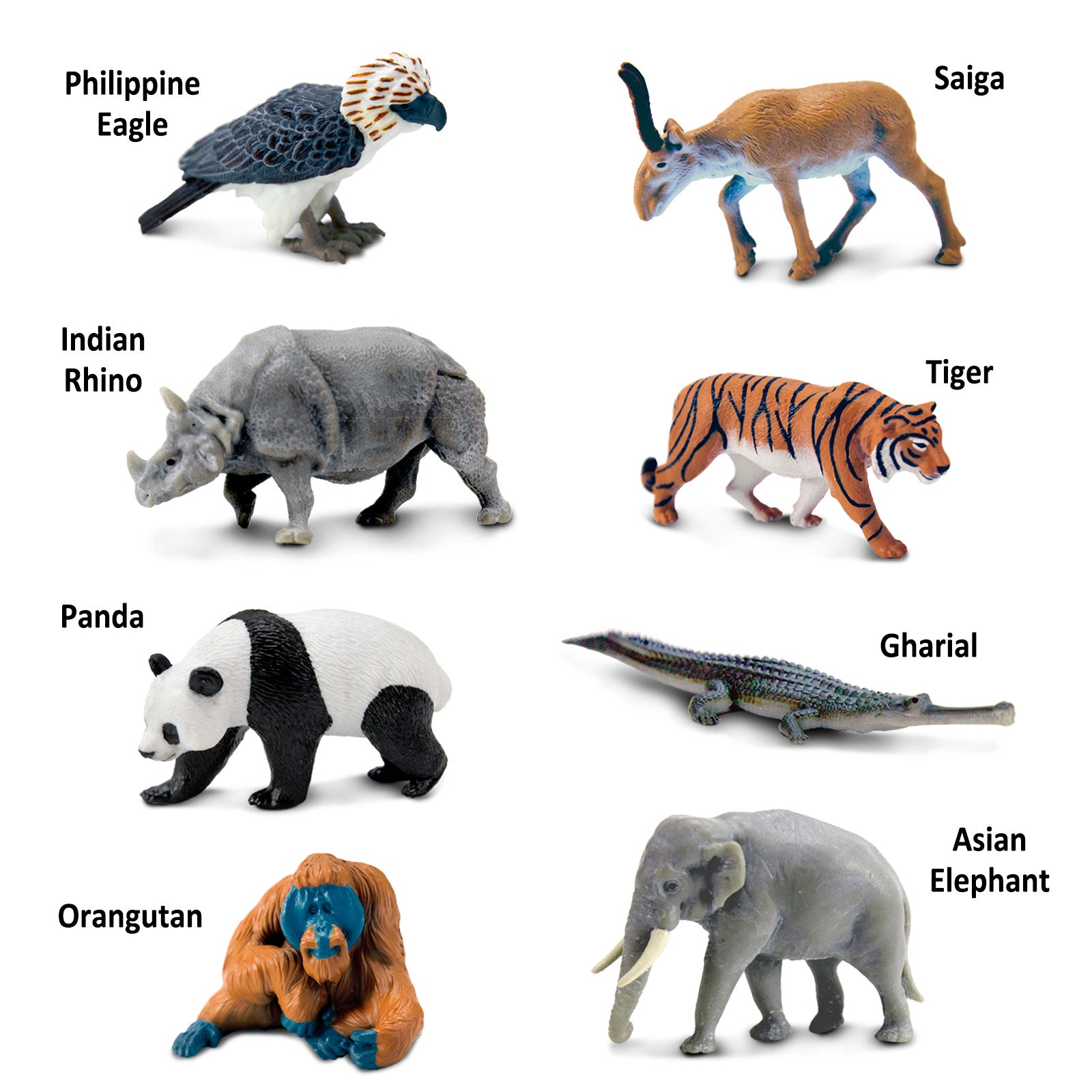 Asian Animals TOOB