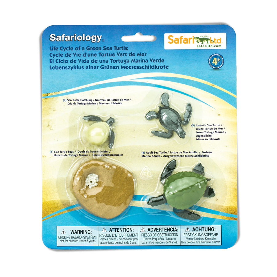 Life Cycle of a Green Sea Turtle - Safari Ltd®