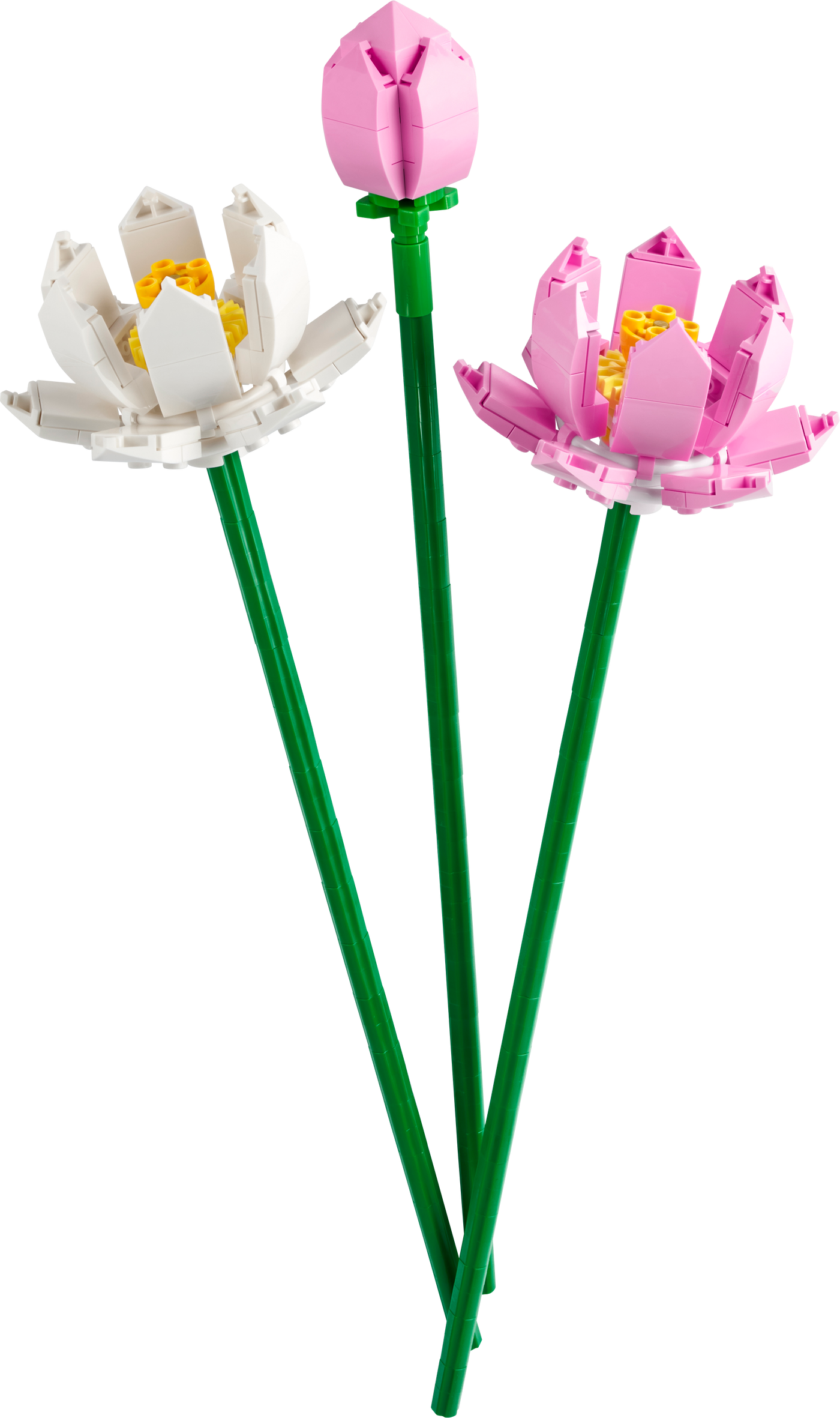 40647 Lotus Flowers |  | Safari Ltd®