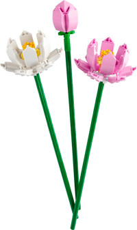 40647 Lotus Flowers |  | Safari Ltd®