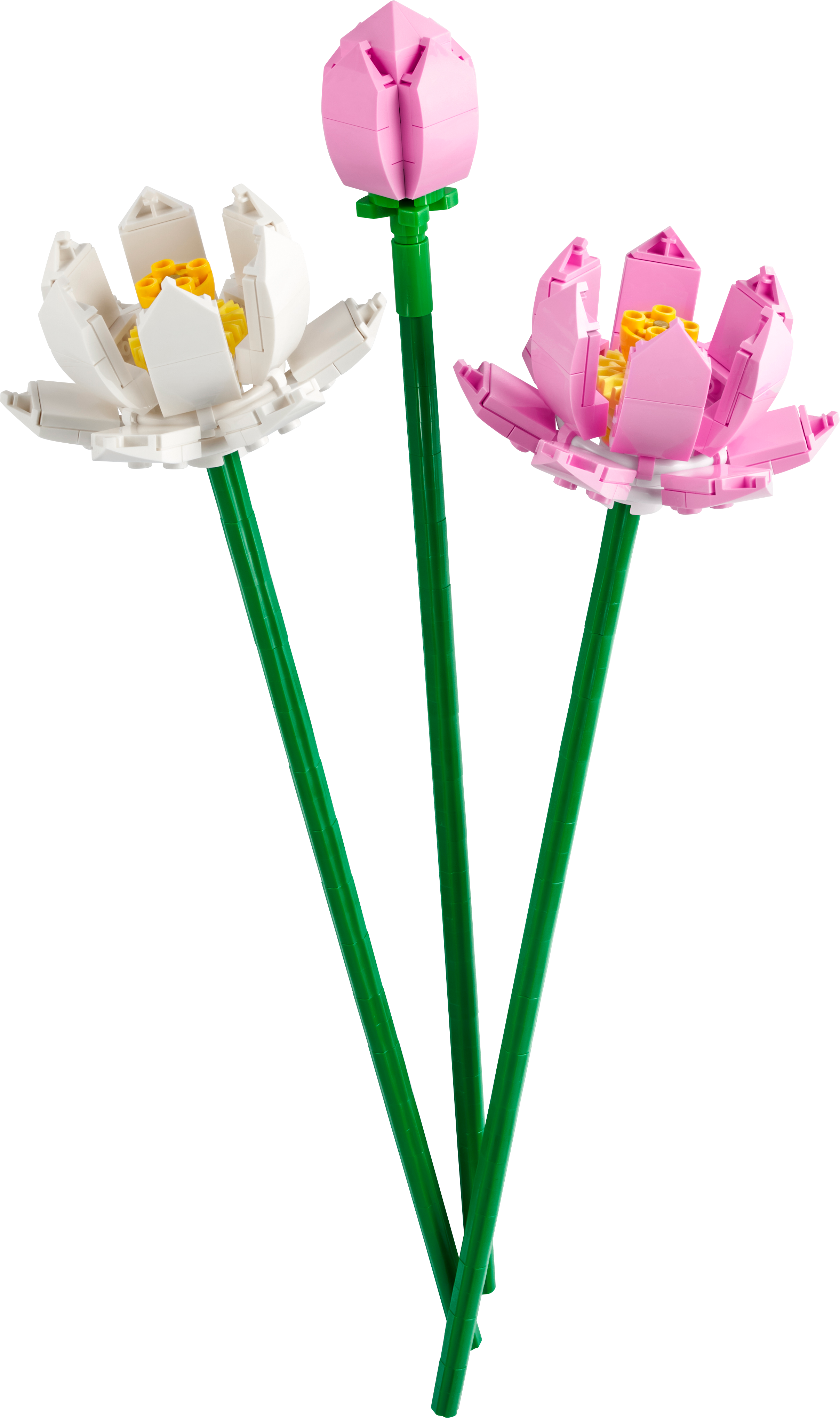 40647 Lotus Flowers |  | Safari Ltd®