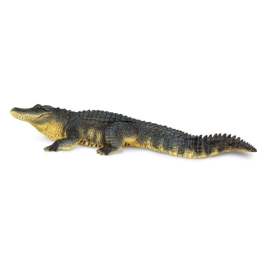 Alligator Toy | Wildlife Animal Toys | Safari Ltd.