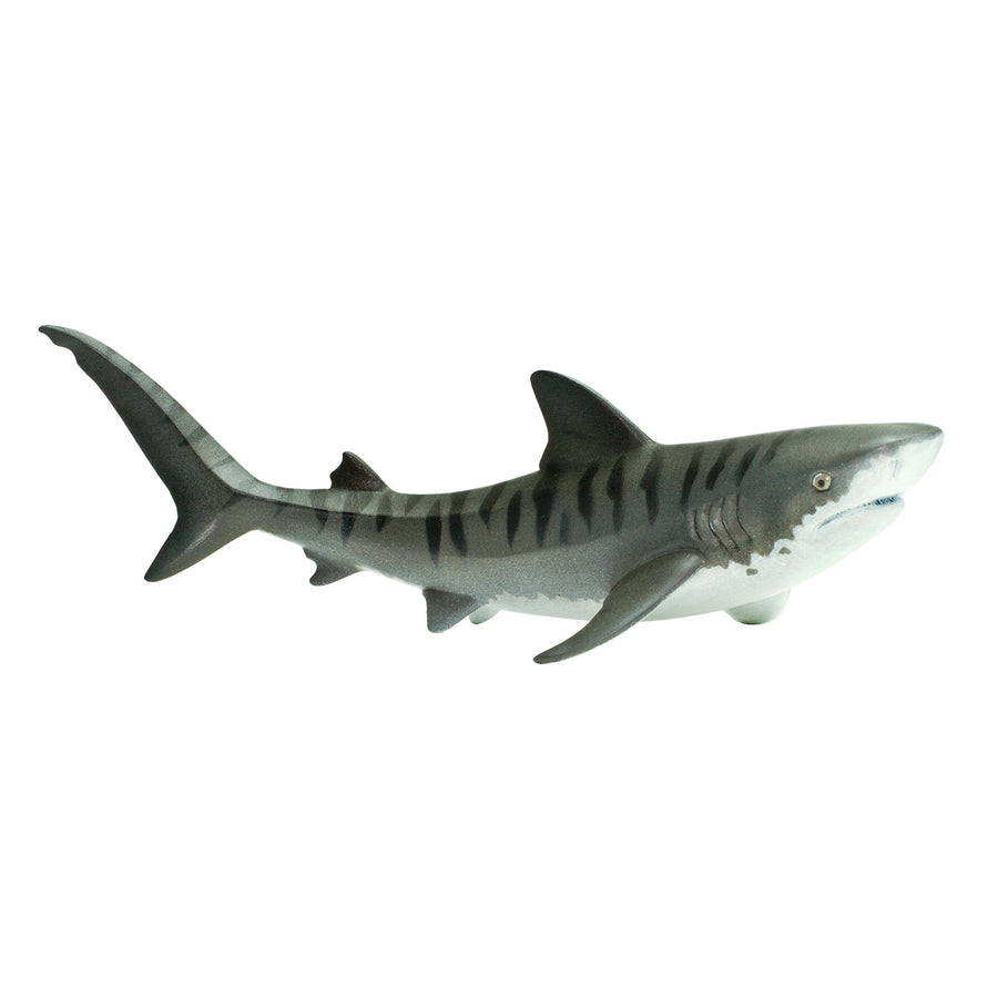 Tiger Shark Toy - Sea Life Toys by Safari Ltd.