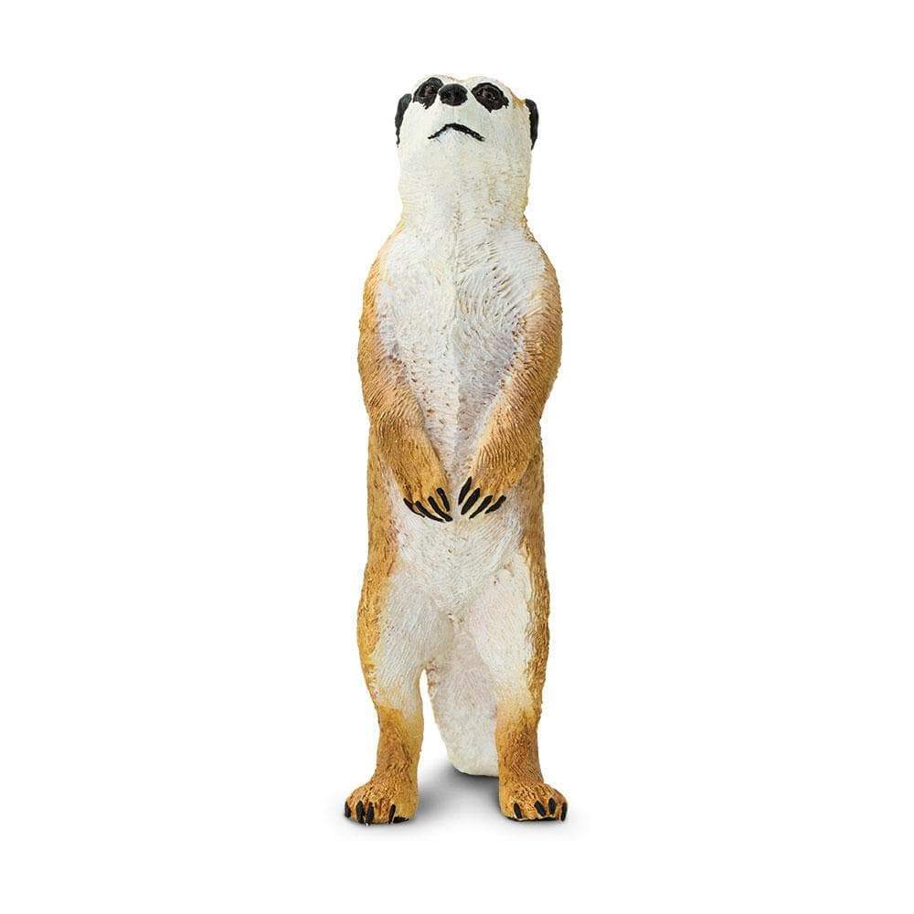 Meerkat Toy