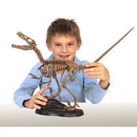 Dr. Steve Hunters GEOWorld Paleo Expedition Velociraptor Replica Skeleton Kit - 25 pieces |  | Safari Ltd®