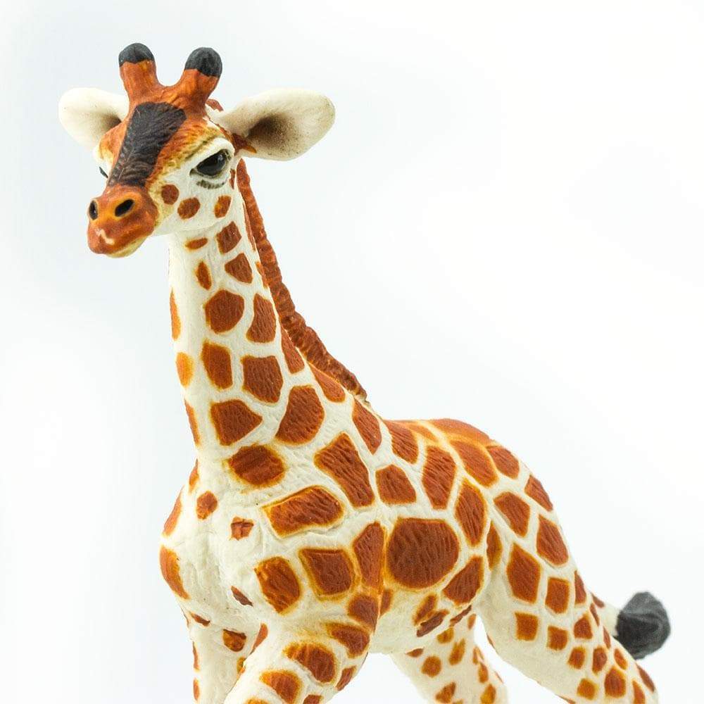 Reticulated Giraffe Baby Toy