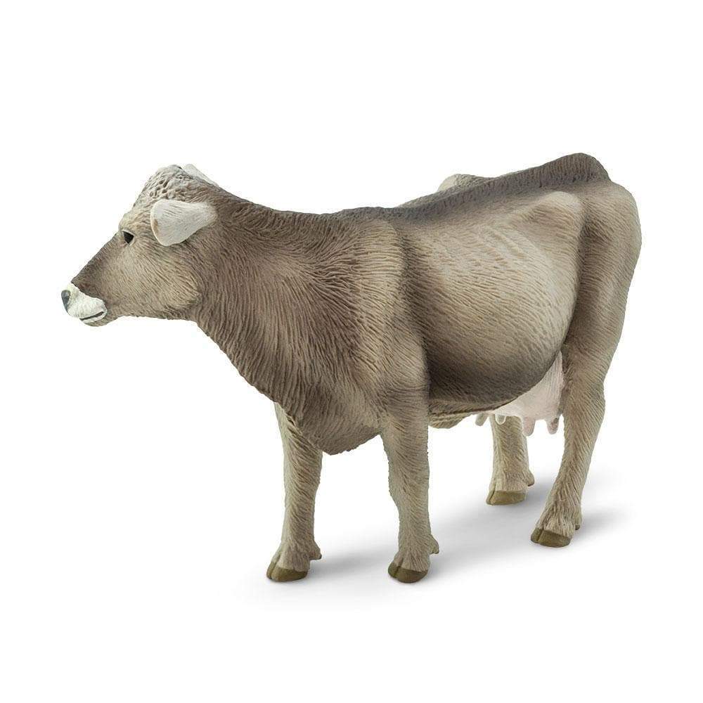 Brown Swiss Cow