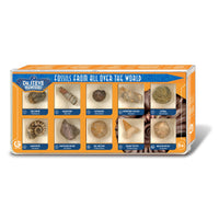 Dr. Steve Hunters Fossils from All Over the World  - 10 Fossils Science & Education Toy Set |  | Safari Ltd®