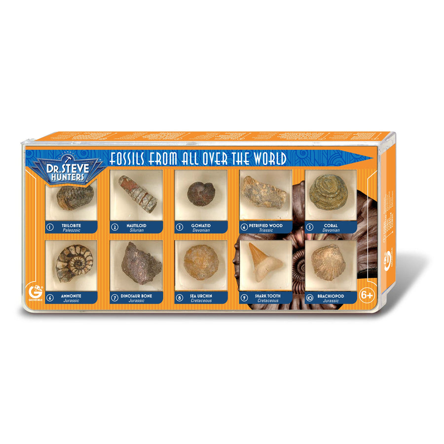 Dr. Steve Hunters Fossils from All Over the World  - 10 Fossils Science & Education Toy Set |  | Safari Ltd®