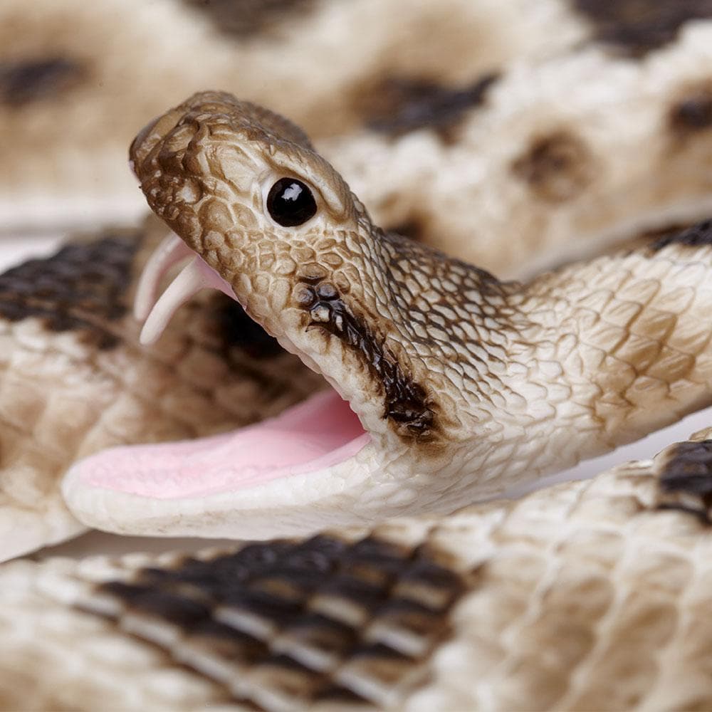 Eastern Diamondback Rattlesnake Toy | Incredible Creatures | Safari Ltd®