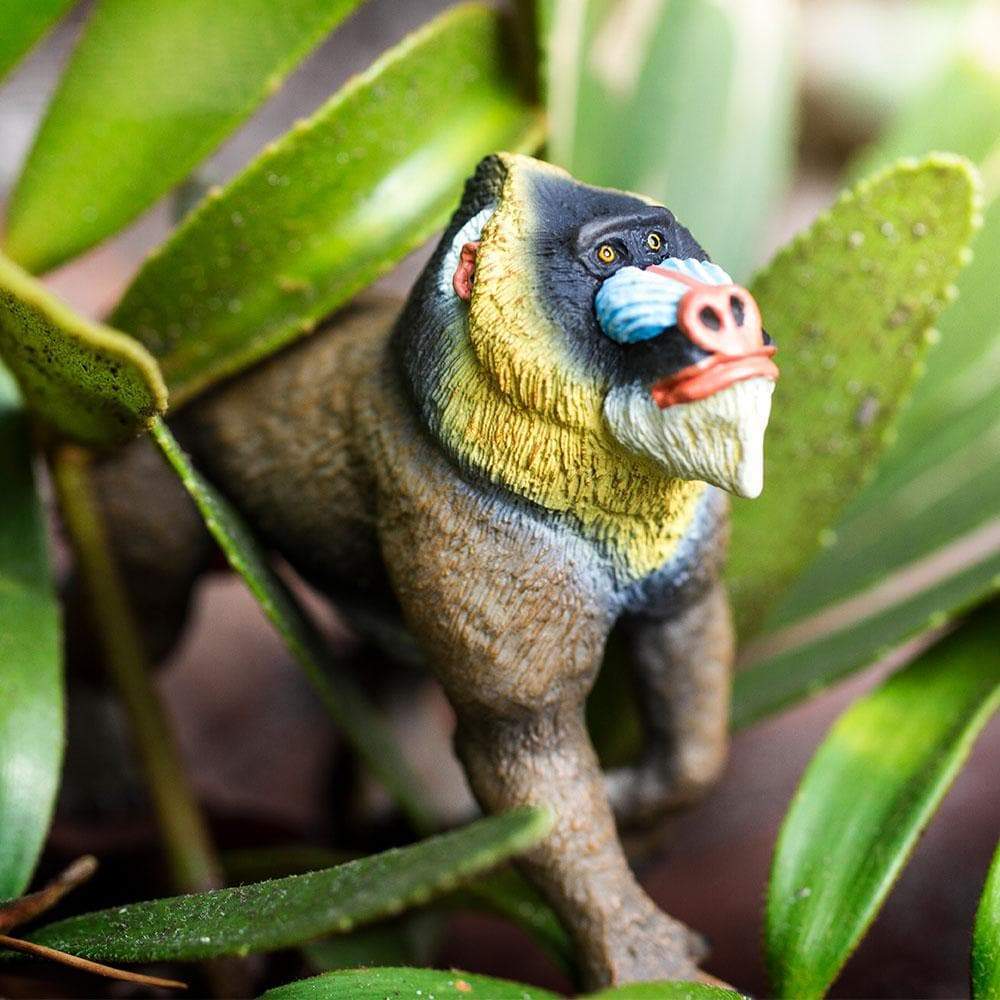 Mandrill Toy