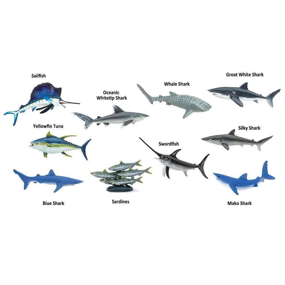 Pelagic Fish TOOB®