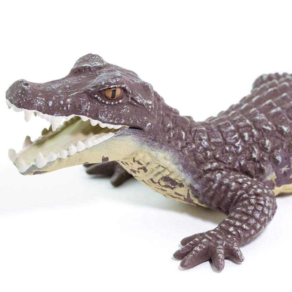 Caiman Toy