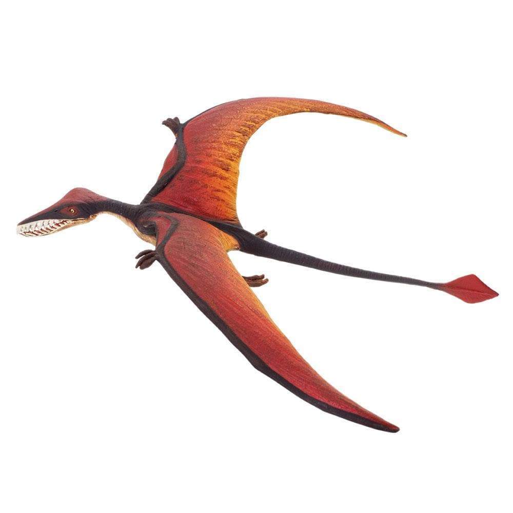 Rhamphorhynchus Toy