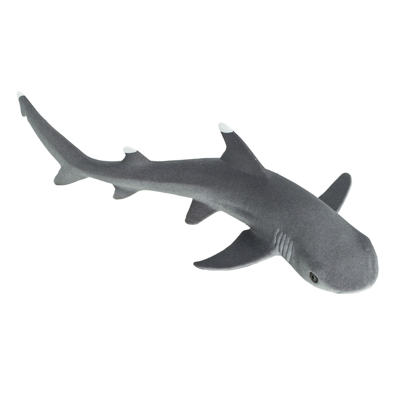 Whitetip Reef Shark Toy - Sea Life Toys by Safari Ltd.