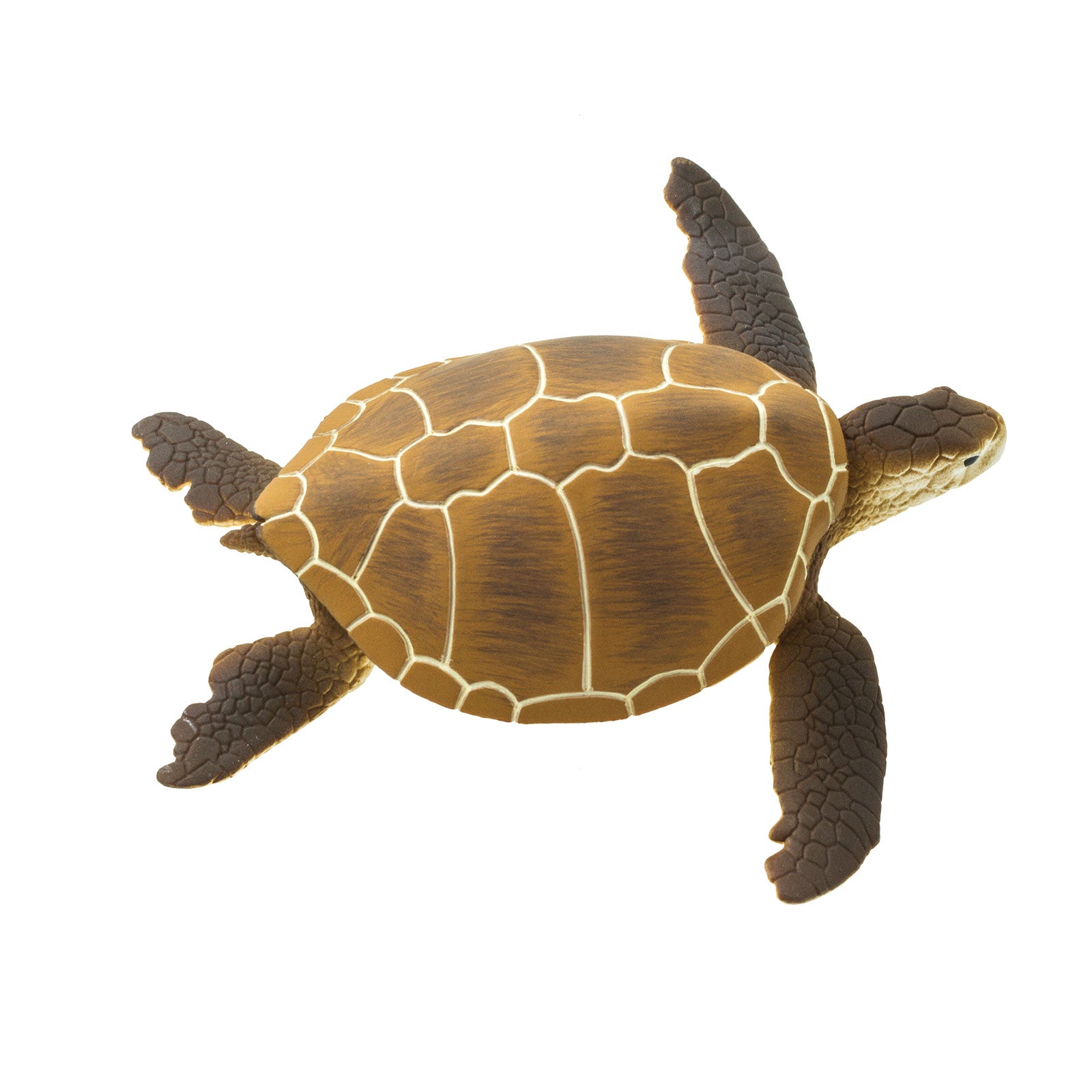 Green Sea Turtle Toy