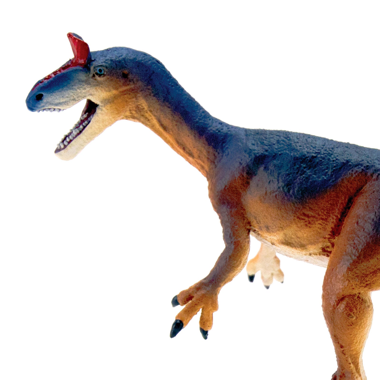 Cryolophosaurus Toy Dinosaur Figure