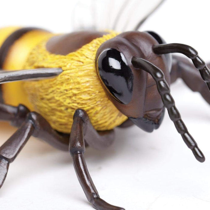 Honey Bee Toy