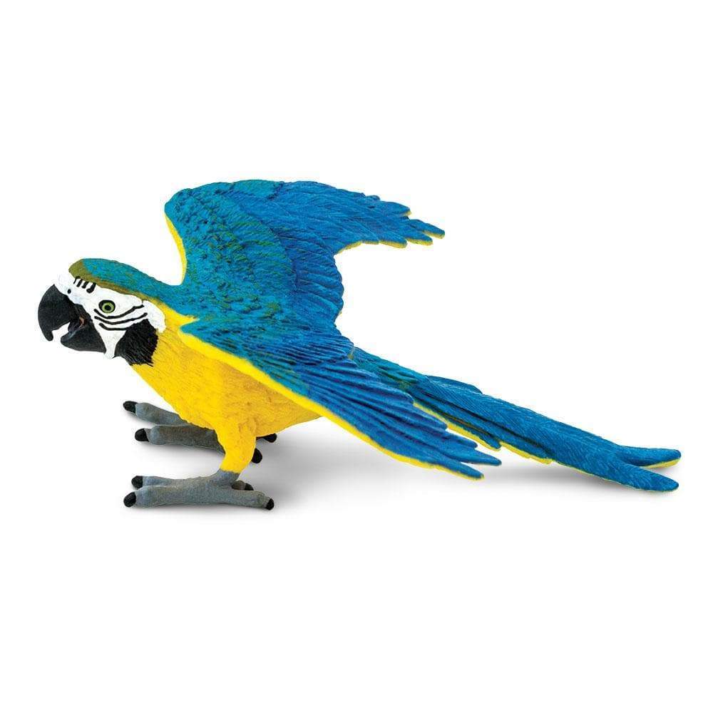 Blue &amp; Gold Macaw Toy | Wildlife Animal Toys | Safari Ltd.