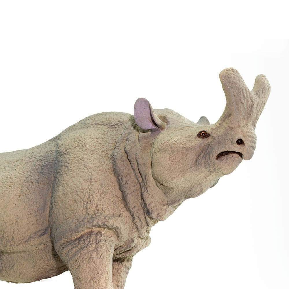 Megacerops Toy