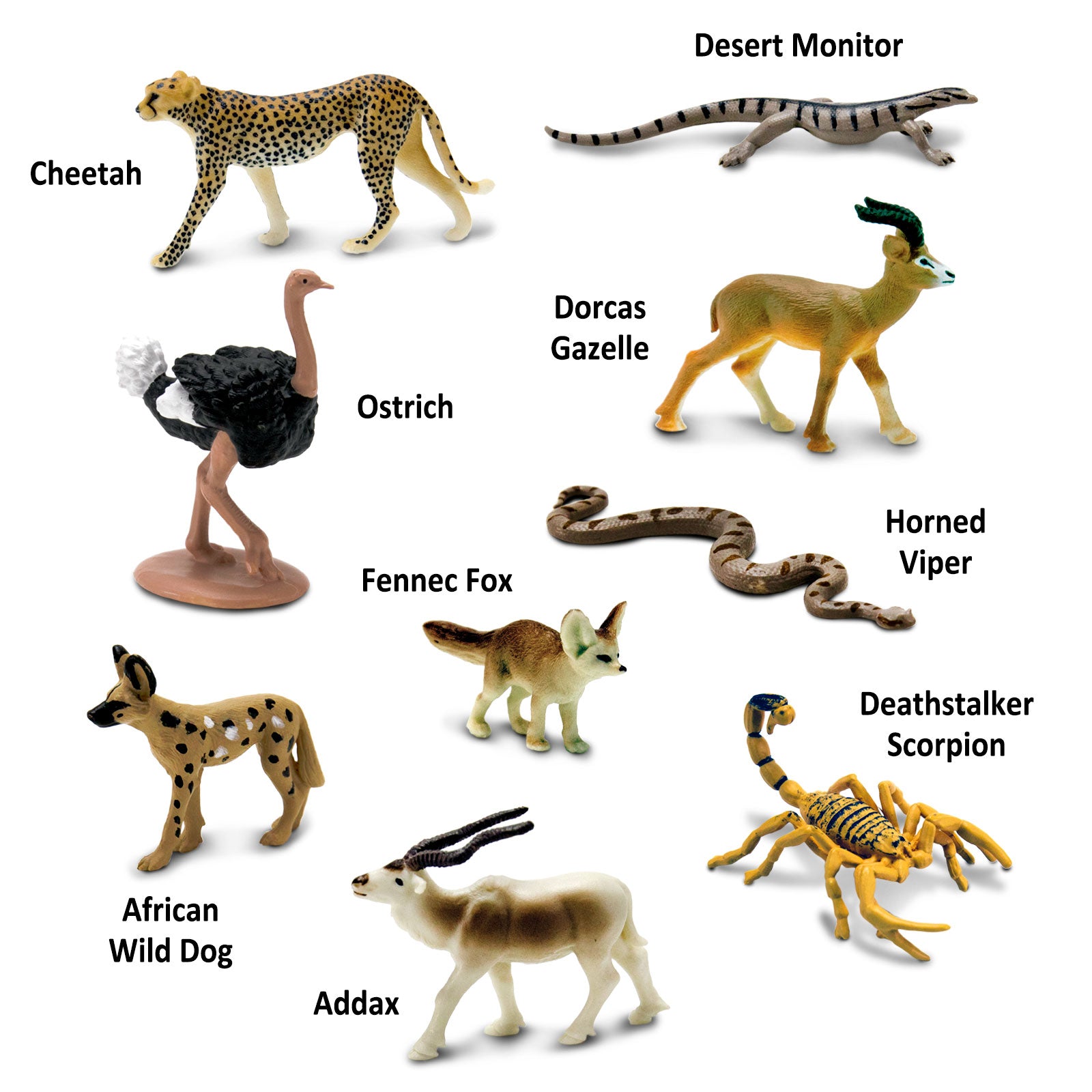 Sahara Desert Animals TOOB