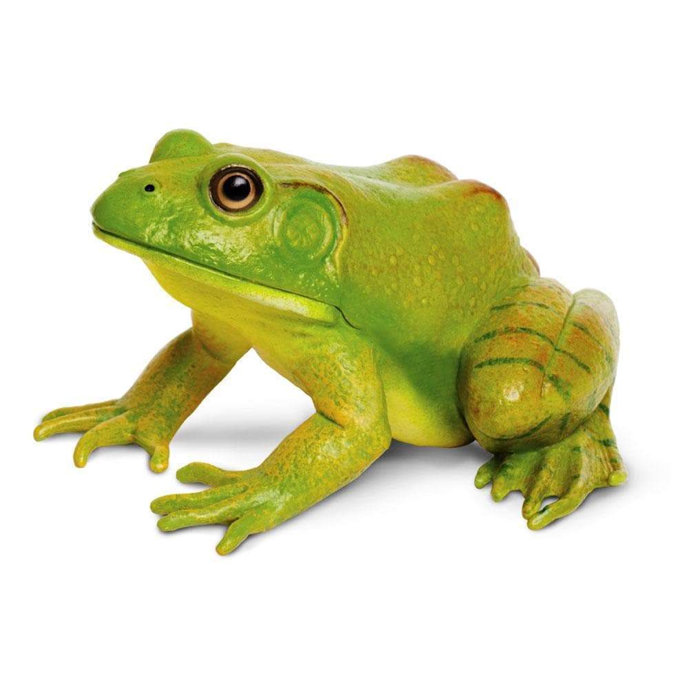 Safari LTD American Bullfrog (Incredible Creatures)