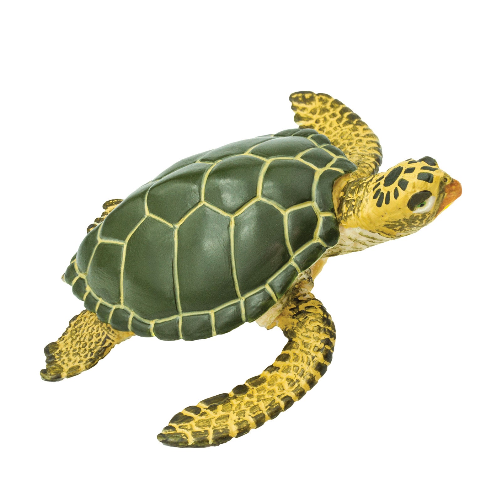 Green Sea Turtle Toy - Sea Life Toys by Safari Ltd.