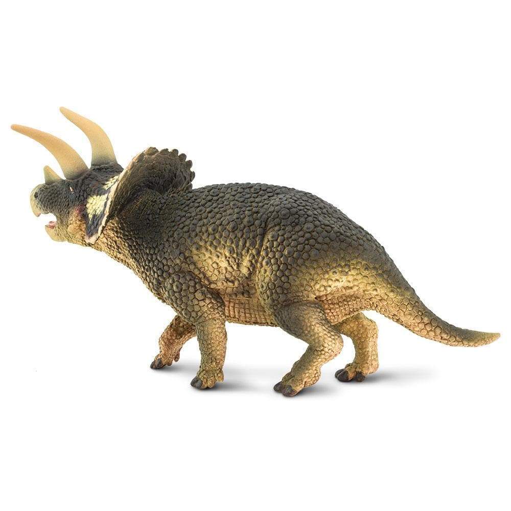 Triceratops Toy