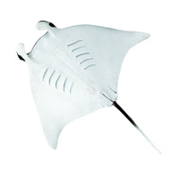 Manta Ray Toy