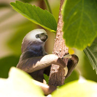 Two-Toed Sloth Toy