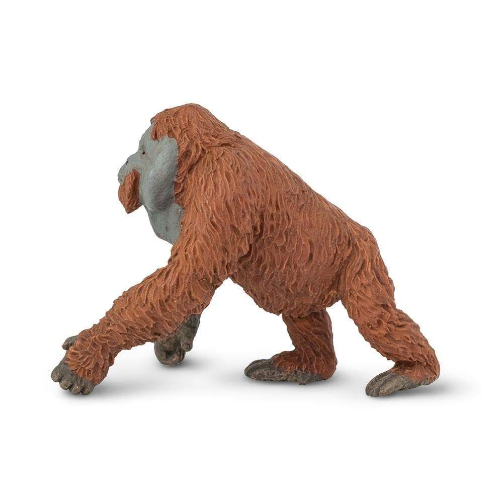 Male Orangutan Toy | Wildlife Animal Toys | Safari Ltd®