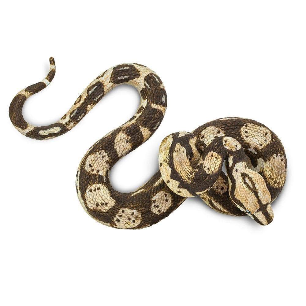 Boa Constrictor Toy | Incredible Creatures | Safari Ltd®