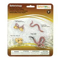 Life Cycle of a Worm - Safari Ltd®