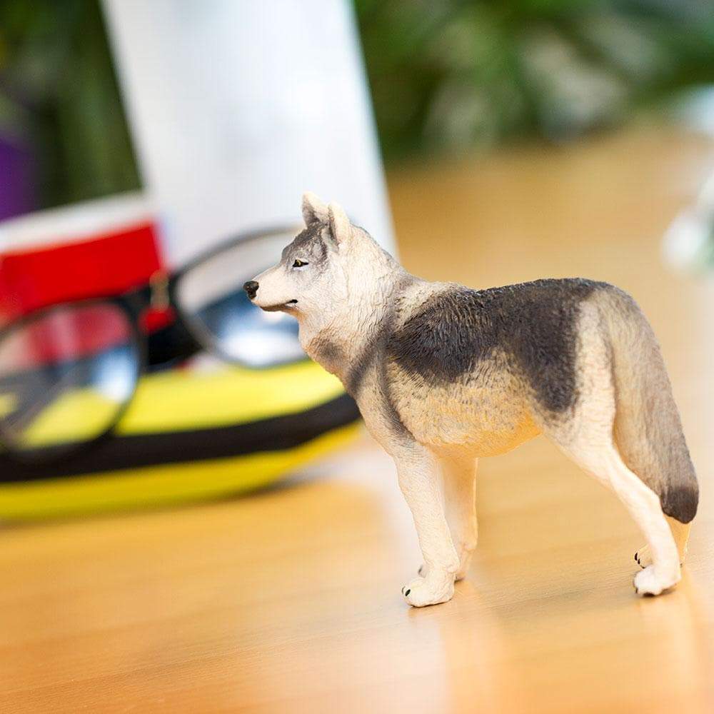 Gray Wolf Toy | Wildlife Animal Toys | Safari Ltd.