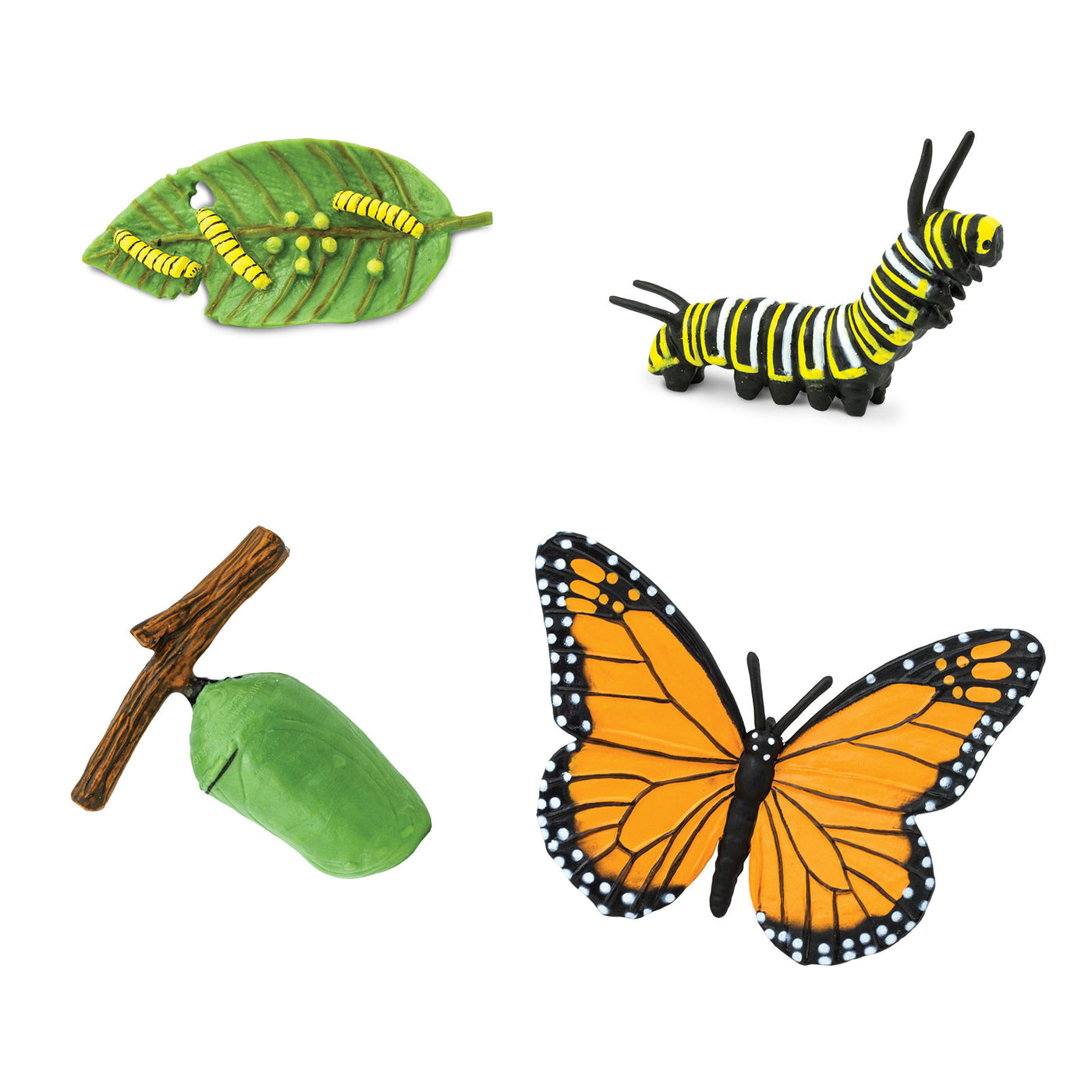 Life Cycle of a Monarch Butterfly - Safari Ltd®