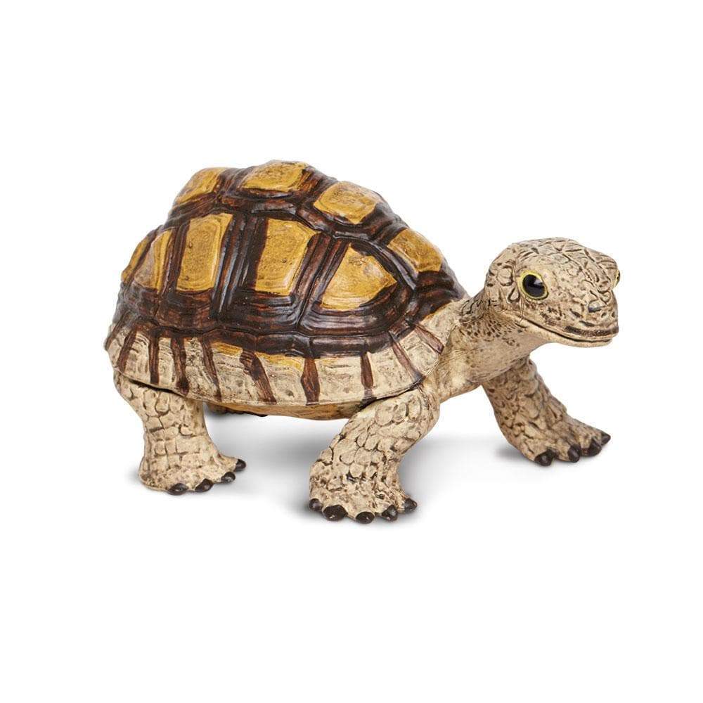 Tortoise Toy | Incredible Creatures | Safari Ltd®