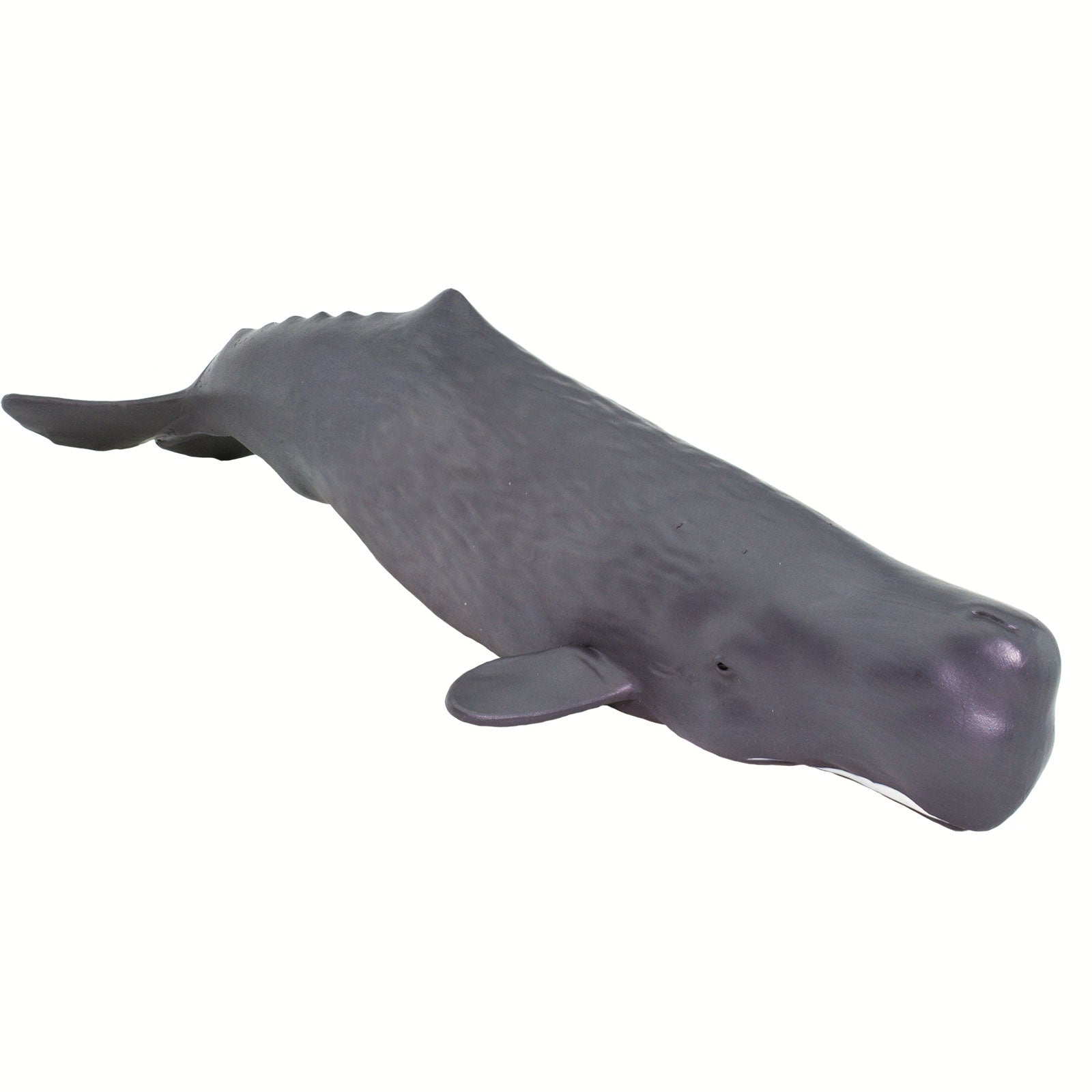 Sperm Whale Toy