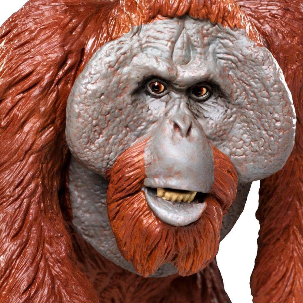 Bornean Orangutan Toy