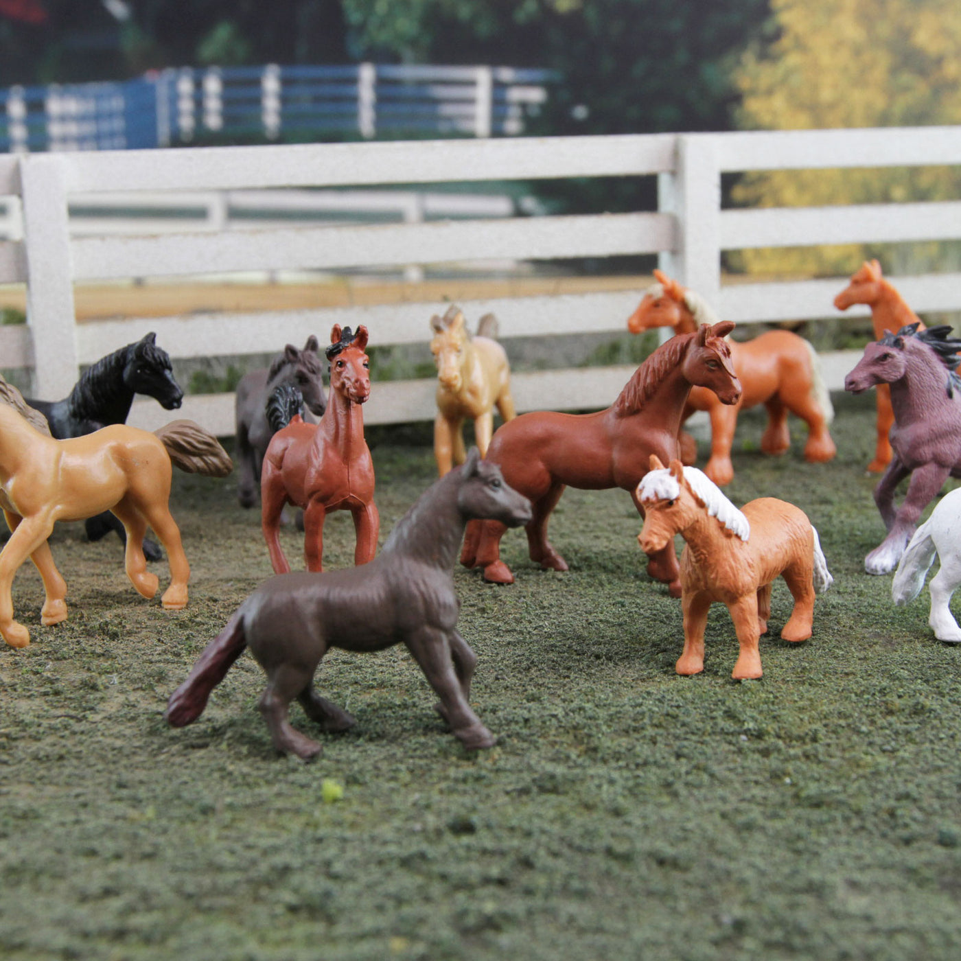 Horses TOOB® | TOOBS® - Mini Toys | Safari Ltd®