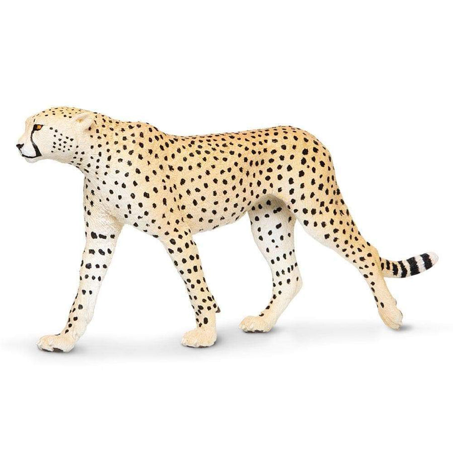 Cheetah Toy | Wildlife Animal Toys | Safari Ltd.