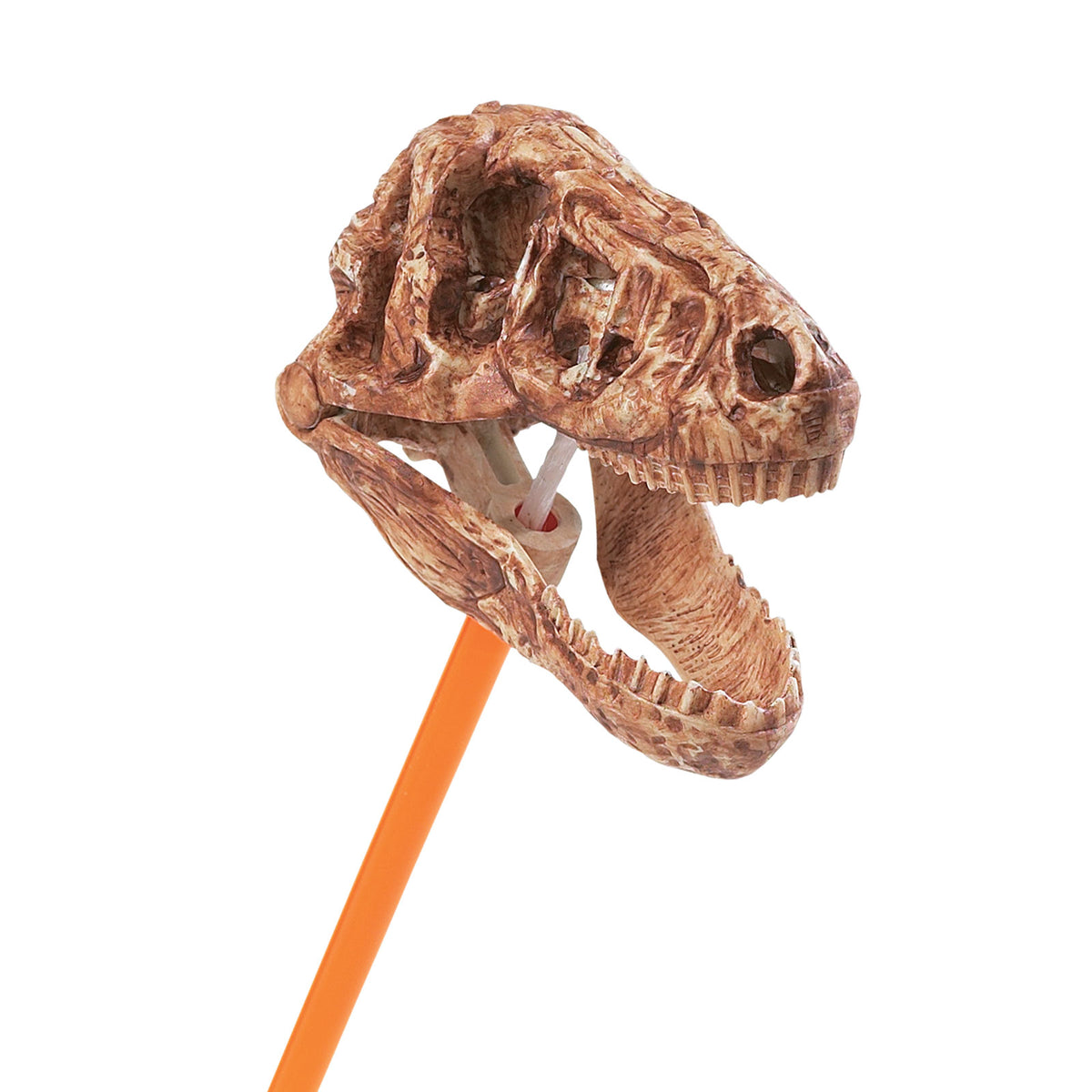 T-Rex Skull Snapper Toy | Safariology® | Safari Ltd®