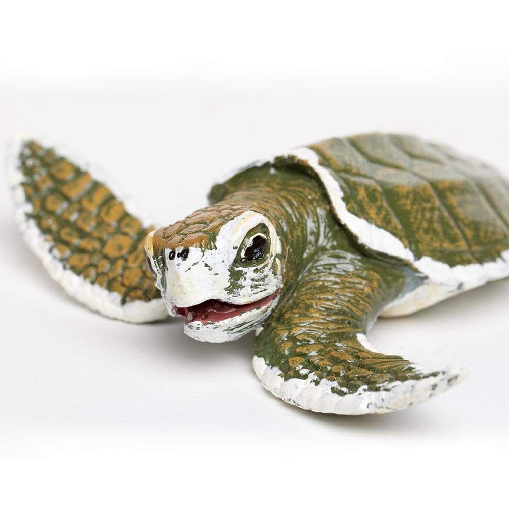 Kemp's Ridley Sea Turtle Baby Toy