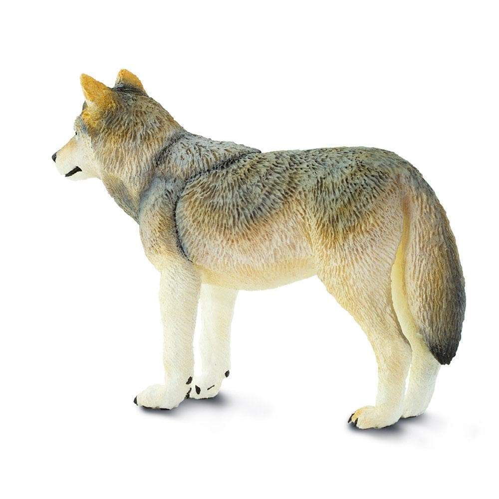 Gray Wolf Toy | Wildlife Animal Toys | Safari Ltd.