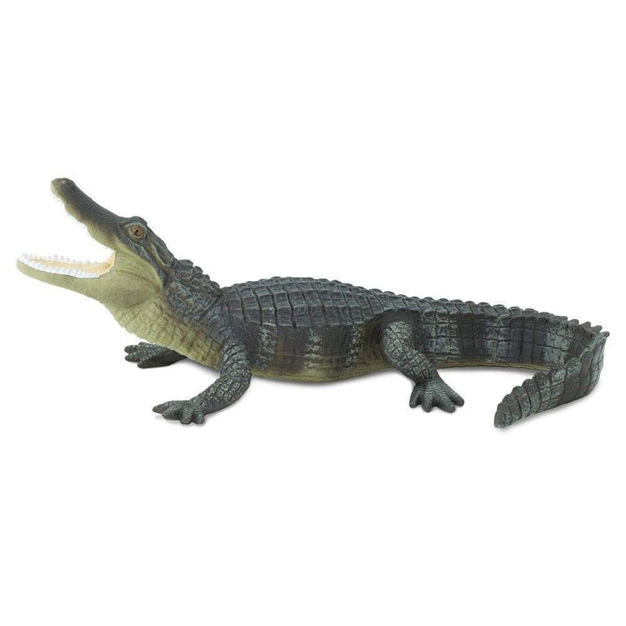 Alligator Toy | Wildlife Animal Toys | Safari Ltd.