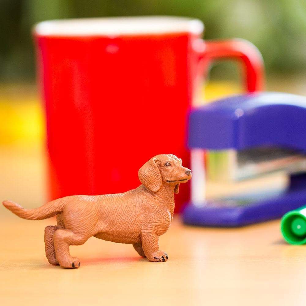 Best toys for miniature dachshund puppy best sale