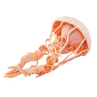 Jellyfish Toy | Incredible Creatures | Safari Ltd®